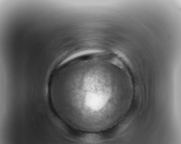 X0000088740399200706071704