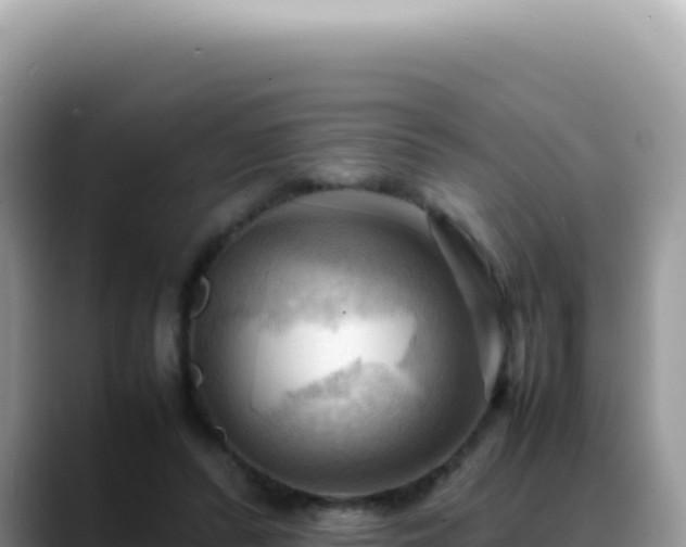 X0000088740400200706071704