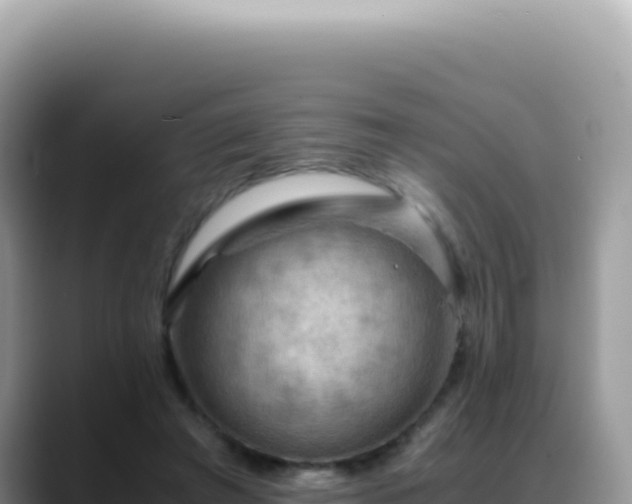 X0000088740401200706071704