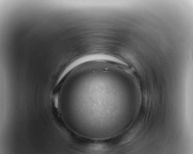 X0000088740404200706071704