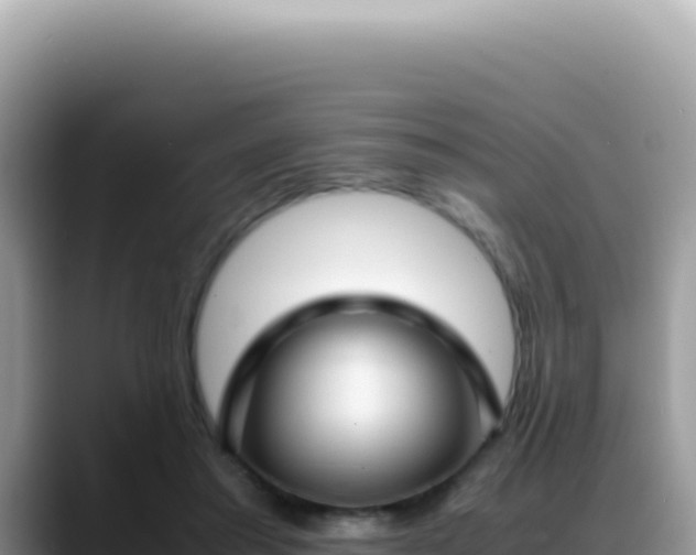 X0000088740405200706071704