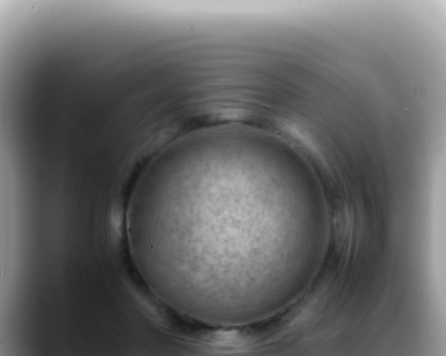 X0000088740406200706071704