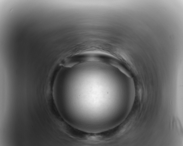 X0000088740407200706071704