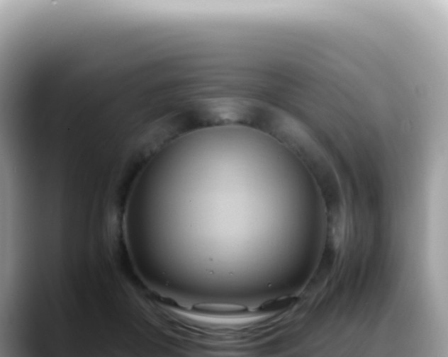 X0000088740410200706071704
