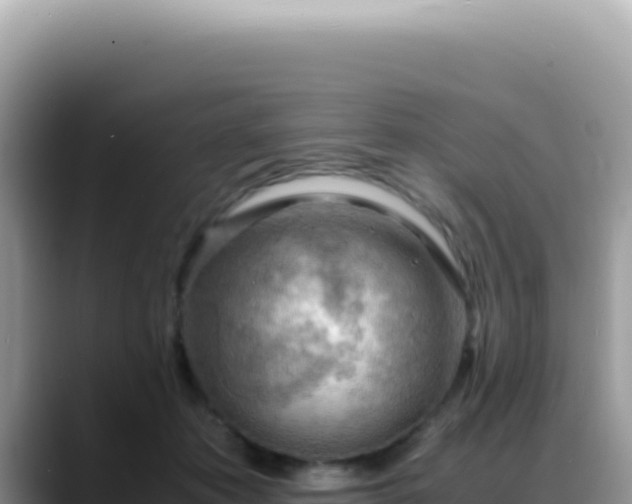 X0000088740413200706071704