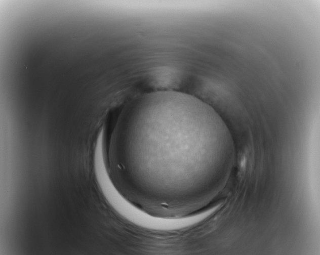 X0000088740416200706071704