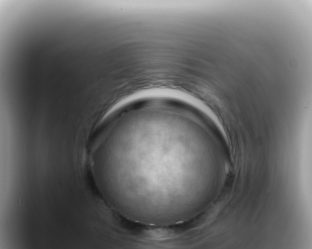 X0000088740417200706071704