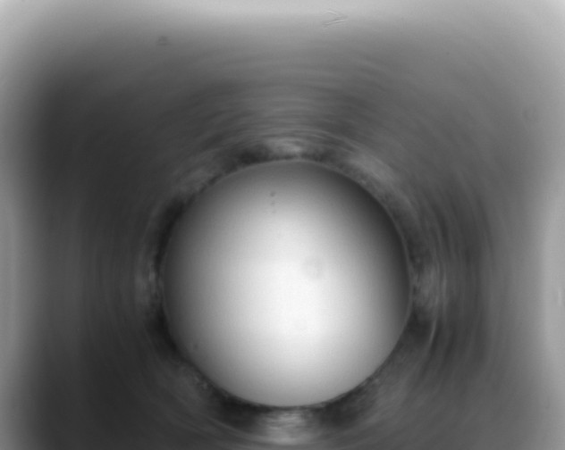 X0000088740418200706071704