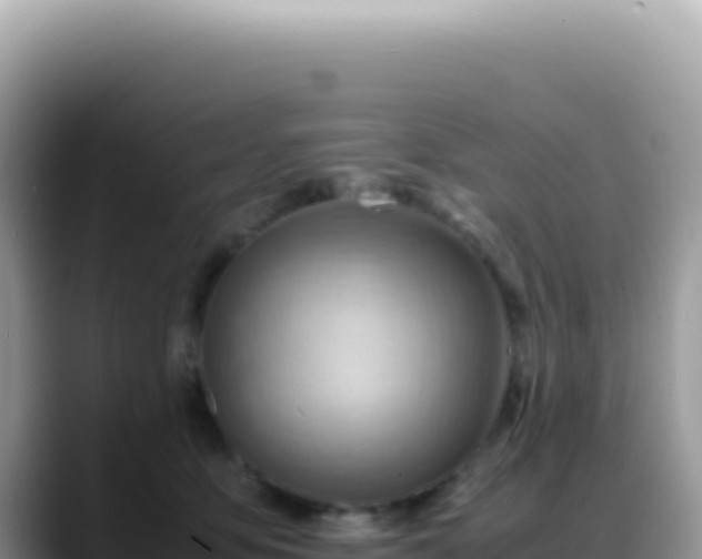 X0000088740419200706071704