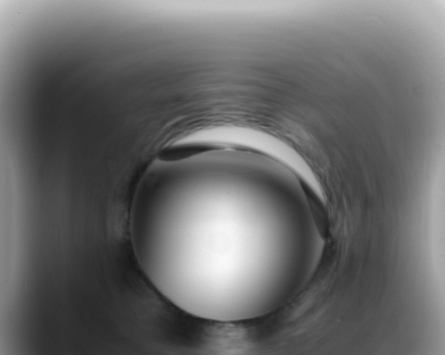X0000088740421200706071704