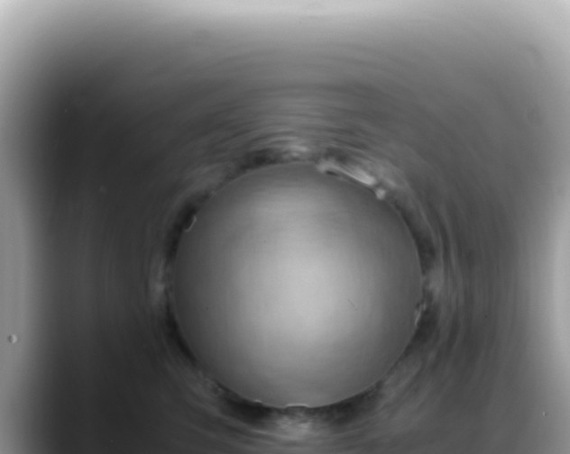 X0000088740423200706071704