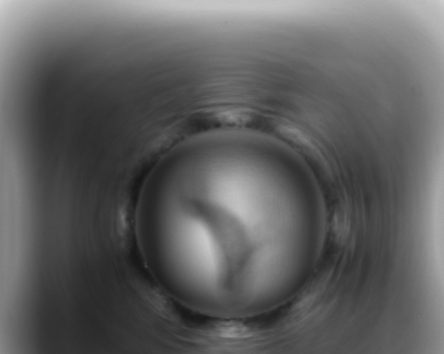 X0000088740424200706071703