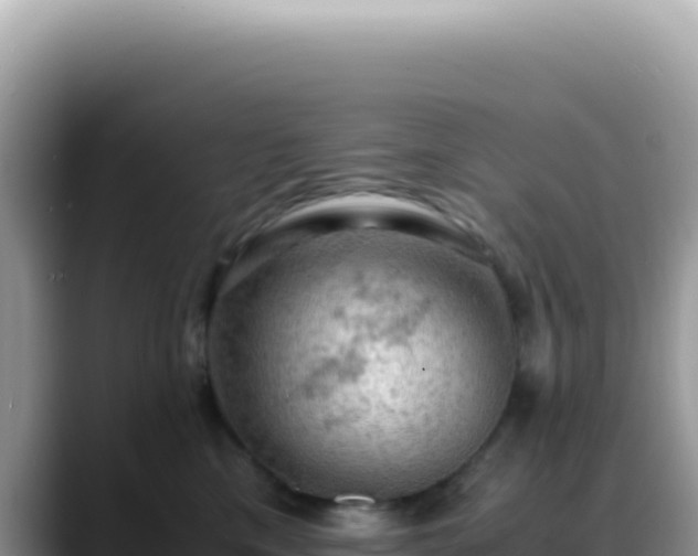 X0000088740425200706071703