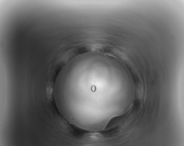 X0000088740427200706071703