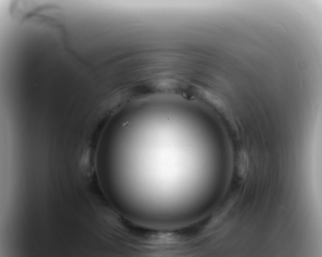 X0000088740428200706071703