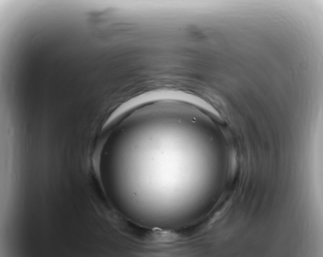 X0000088740429200706071703