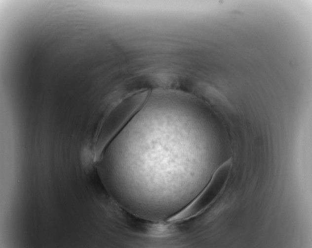 X0000088740432200706071703