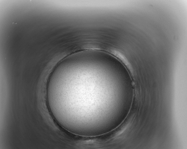 X0000088740433200706071703