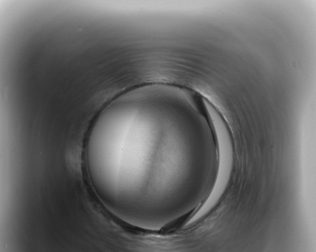 X0000088740434200706071703