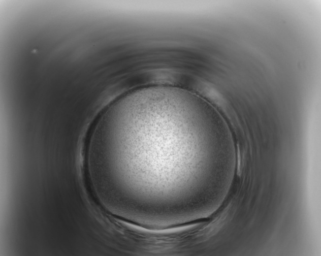 X0000088740435200706071703