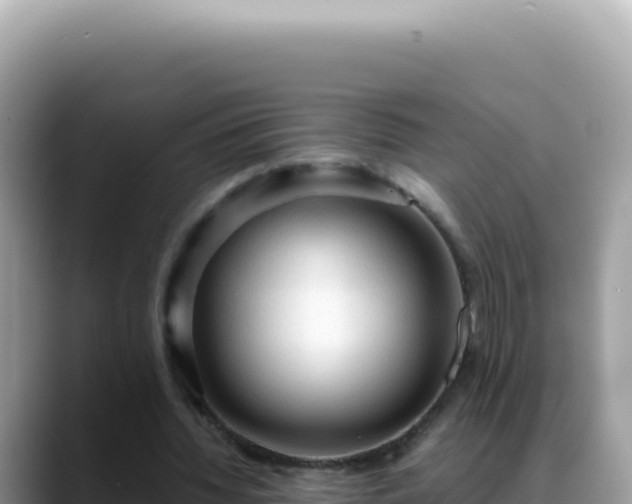 X0000088740436200706071703
