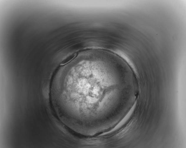 X0000088740437200706071703