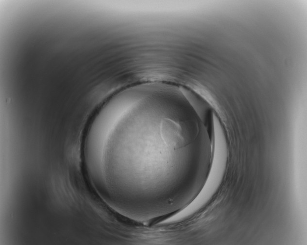 X0000088740438200706071703