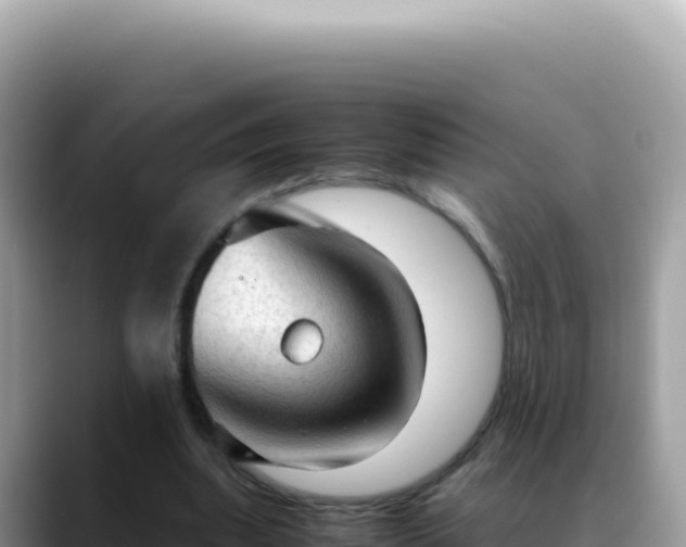 X0000088740439200706071703