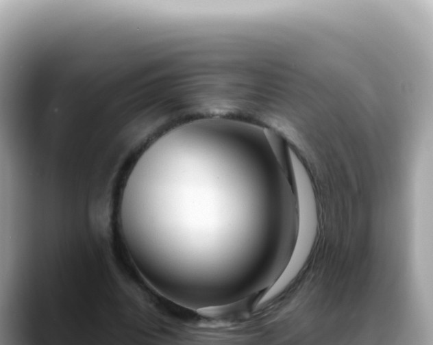 X0000088740440200706071703