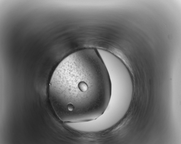 X0000088740441200706071703