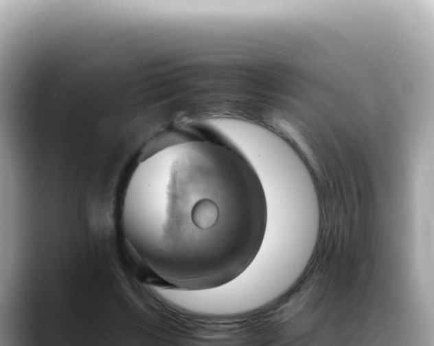 X0000088740443200706071703