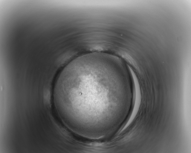 X0000088740444200706071703