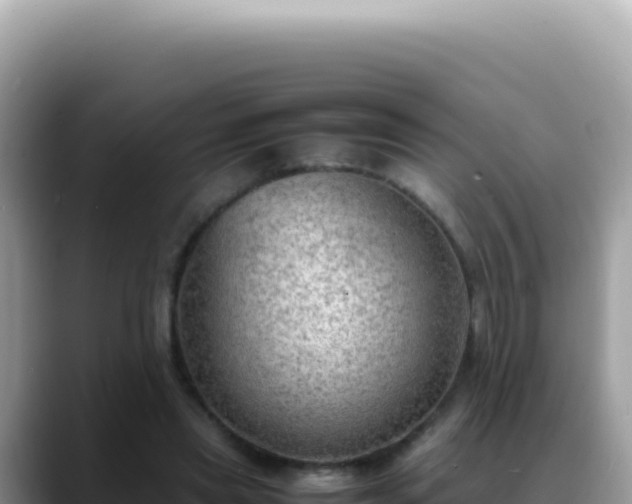 X0000088740445200706071703