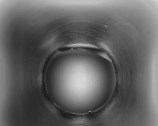 X0000088740447200706071703