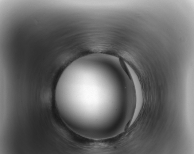X0000088740448200706071703