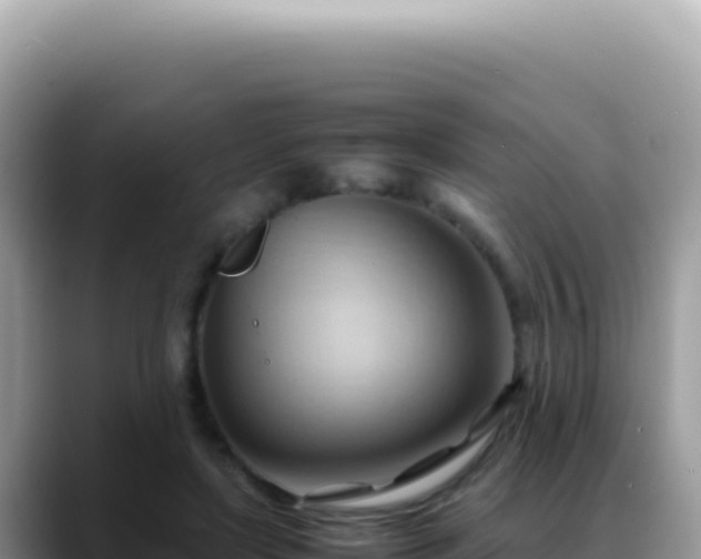 X0000088740451200706071703
