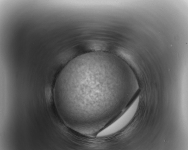 X0000088740453200706071703