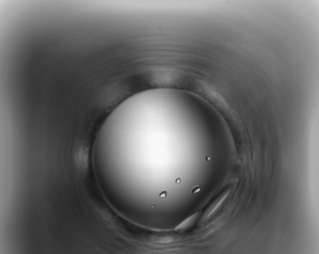 X0000088740454200706071703