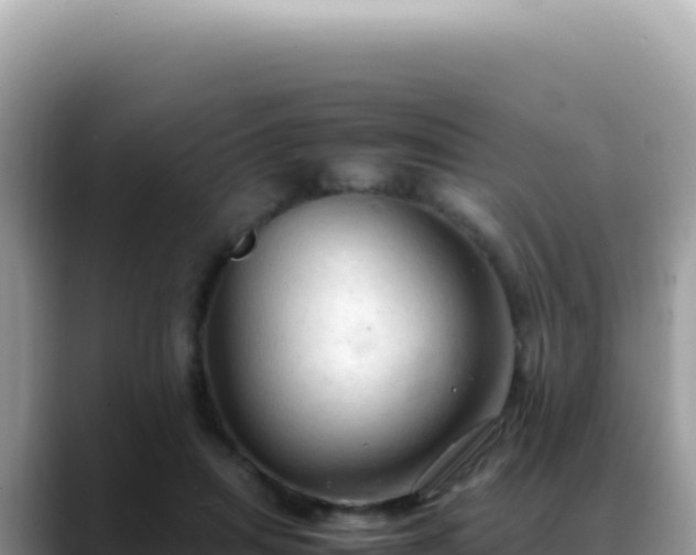 X0000088740455200706071703