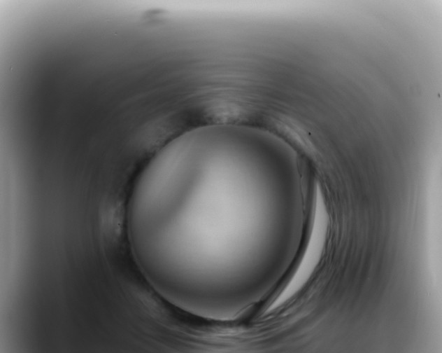 X0000088740458200706071703