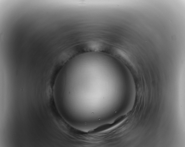 X0000088740459200706071703