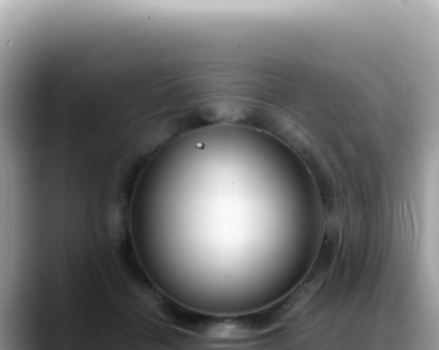 X0000088740460200706071703