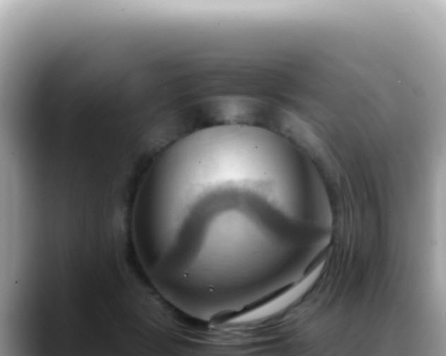 X0000088740461200706071703