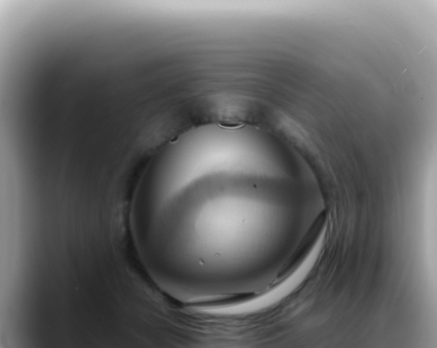 X0000088740462200706071703