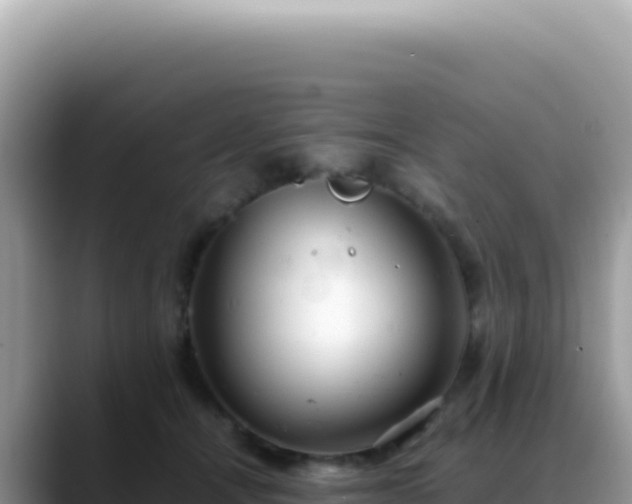 X0000088740464200706071703