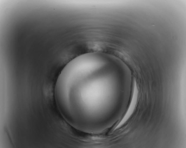 X0000088740466200706071703