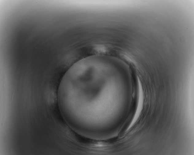 X0000088740467200706071703