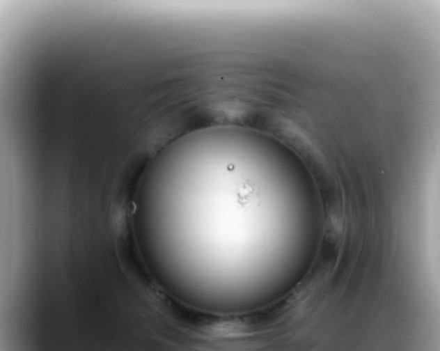 X0000088740468200706071703