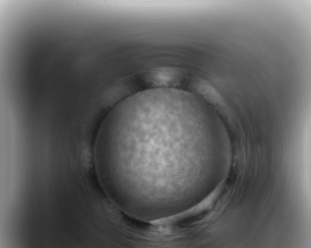 X0000088740469200706071703