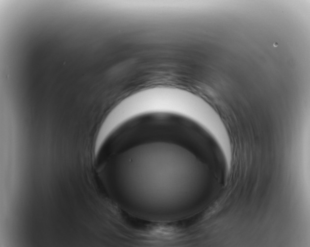 X0000088740471200706071703